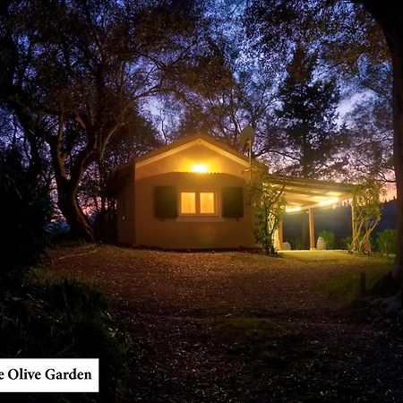 Апартаменти House In The Olive Garden Agios Ioannis  Екстер'єр фото
