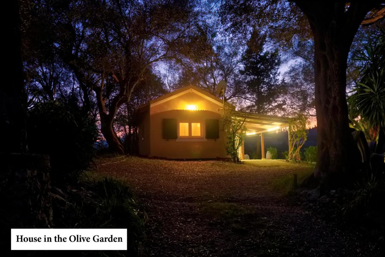 Апартаменти House In The Olive Garden Agios Ioannis  Екстер'єр фото